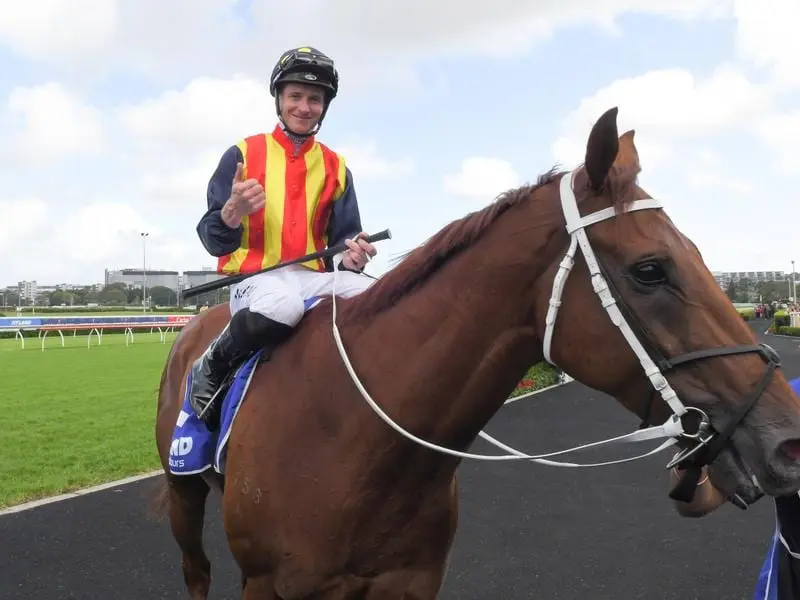 Nature Strip after winning the Challenge Stakes.