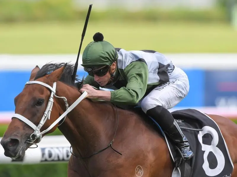 Shared Ambition wins at Randwick.