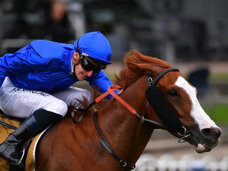 Cascadian wins the Doncaster Prelude at Rosehill.