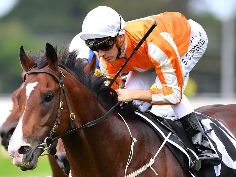 Royal Celebration wins at Rosehill.