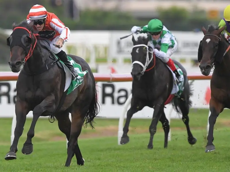 Miss Exfactors wins at Rosehill.