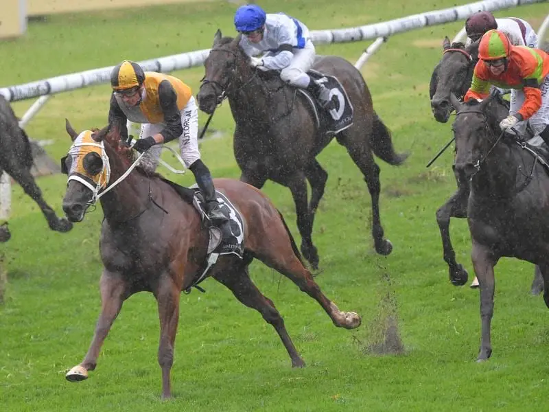 Star Of The Seas wins at Rosehill.