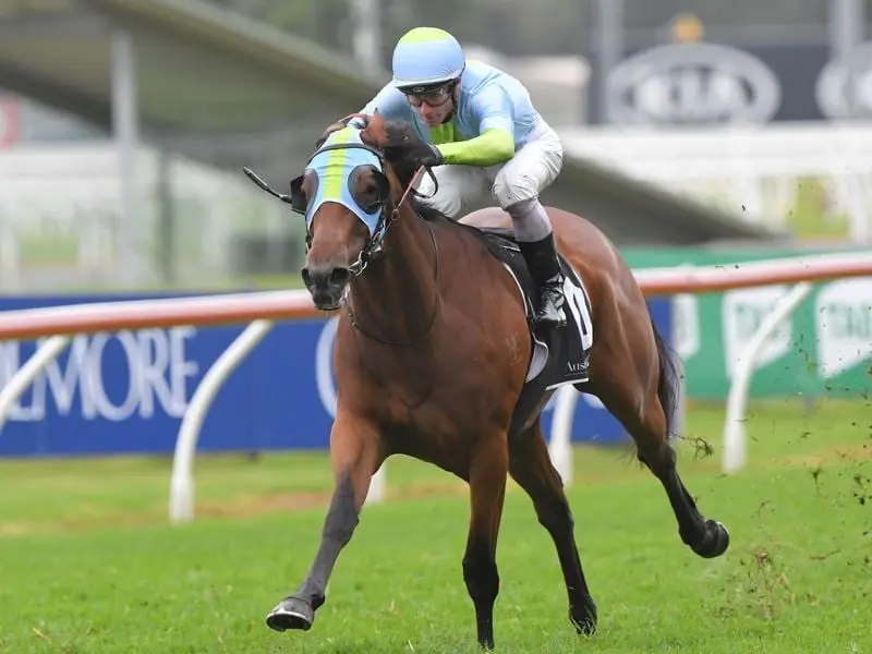 James McDonald has ridden five winners at Rosehill.