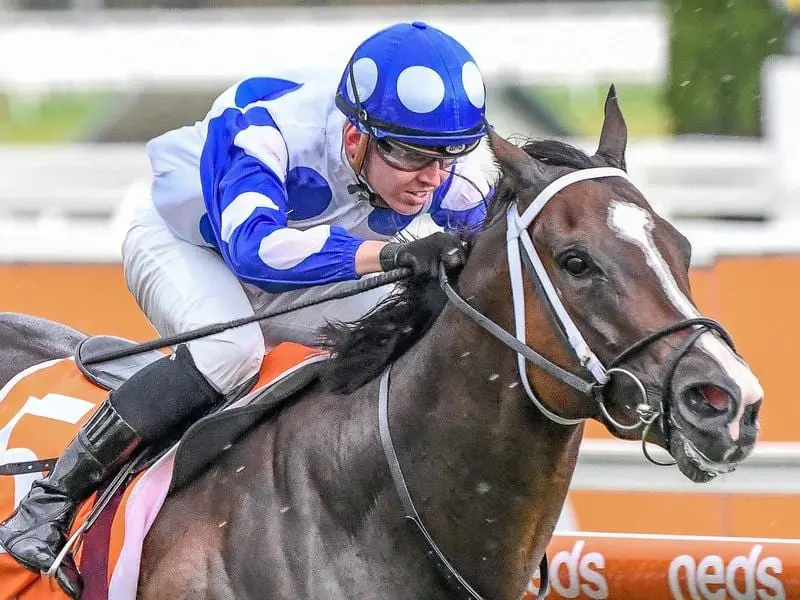 en Thompson rides Ancestry to victory in race 5 at Caulfield