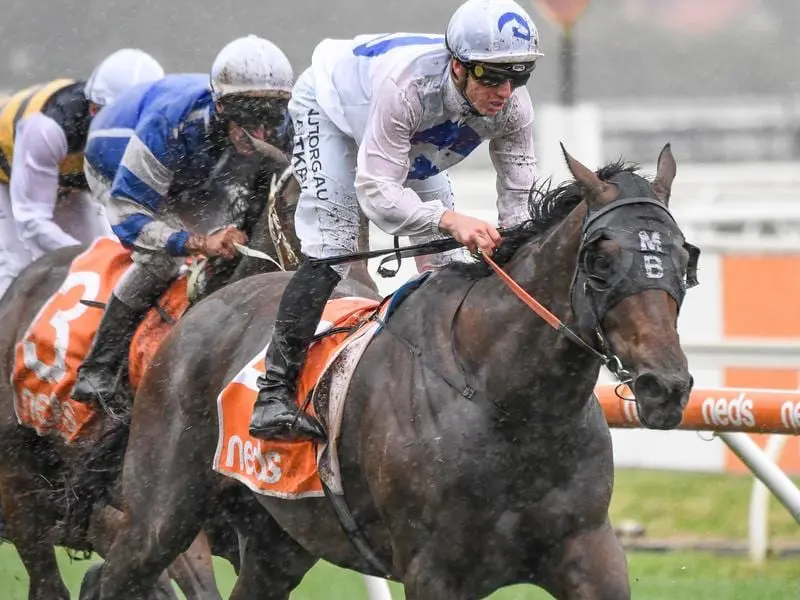 Mitchell Aitken rides Exasperate to victory in race 8 at Caulfield