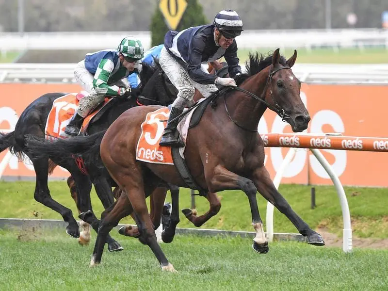 Royal Crown is on a South Australian Derby path after a strong staying performance at Caulfield. Royal Crown wins the Galilee Series Final.