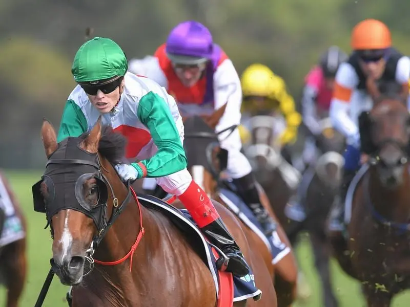 Castelvecchio wins the Rosehill Guineas.