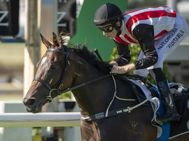 Stampe wins at Doomben.