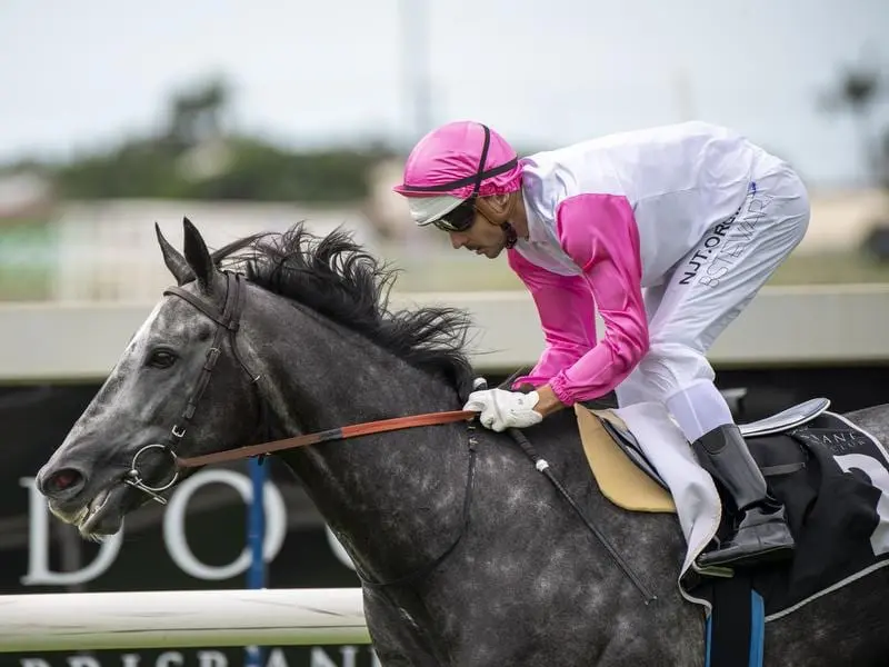 Brad Stewart rides Ilwendo to victory in race 2 at Doomben