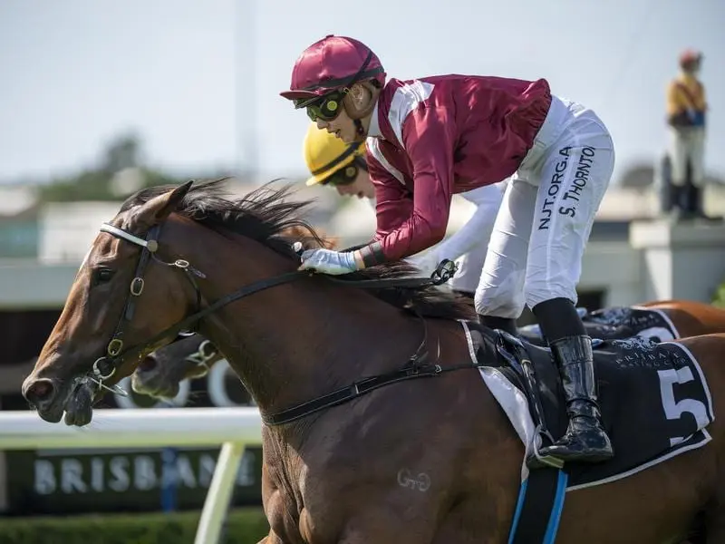 Minjee wins at Doomben.