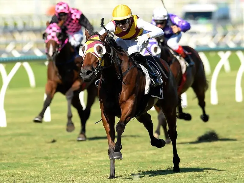 Last-start Brisbane winner Get Stuck In.