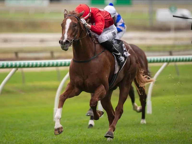 Starosa wins at Doomben.