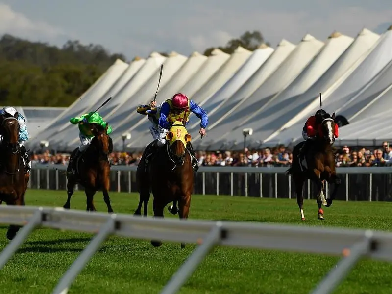 ipswich racecourse