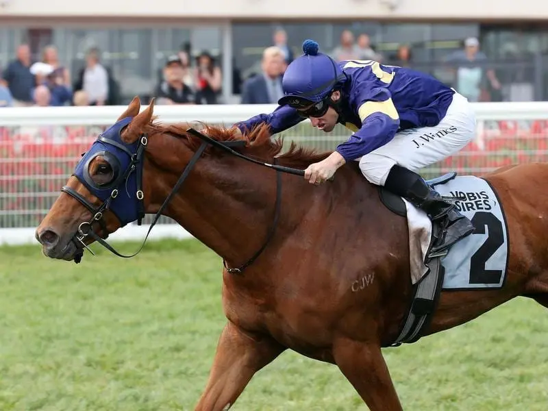 Mahamedeis will return to the VOBIS Gold meeting to try to pick up another rich race. mahamedeis