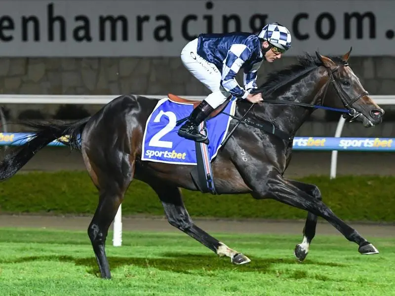 Russian Camelot wins at Pakenham.