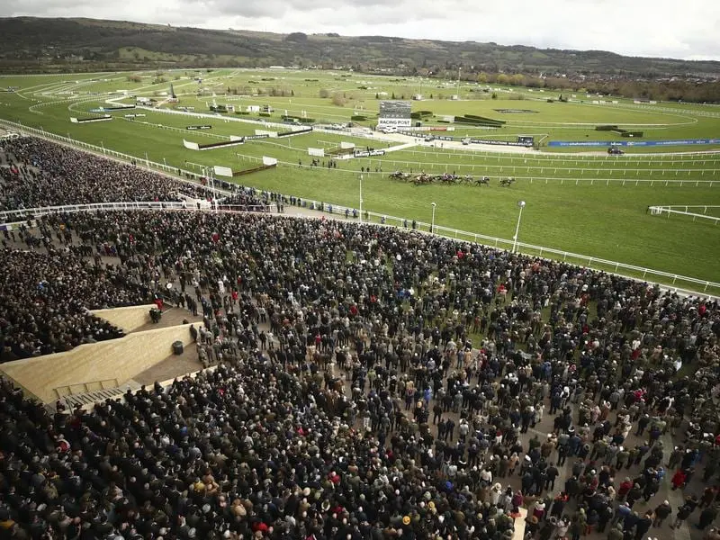 cheltenham festival