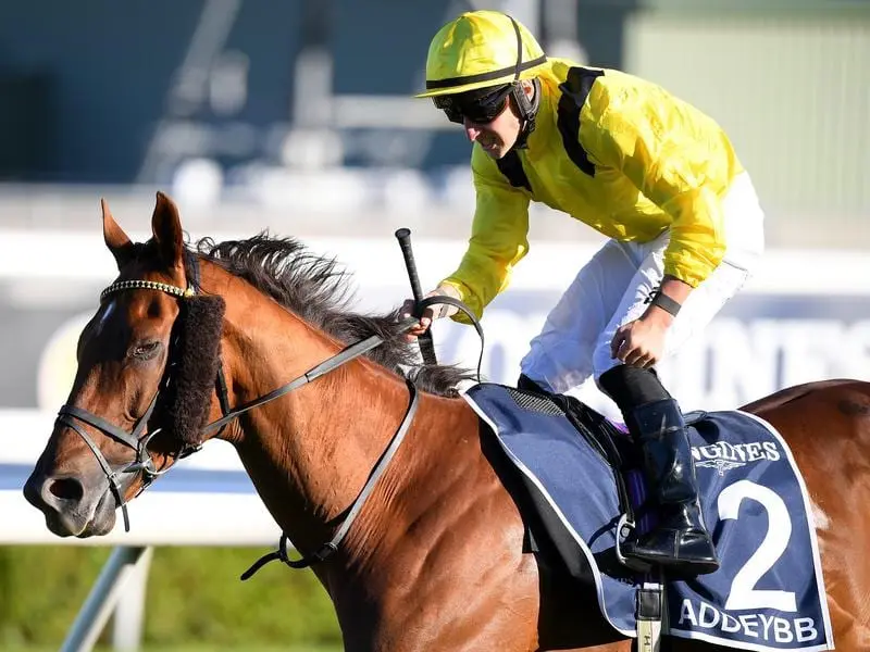 Addeybb wins the Queen Elizabeth Stakes.