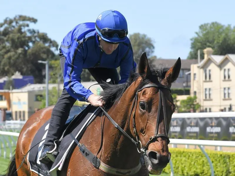 Queen Elizabeth Stakes contender Happy Clapper.