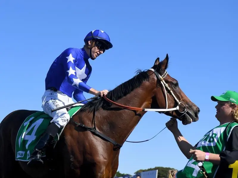 Fender after his Randwick win.