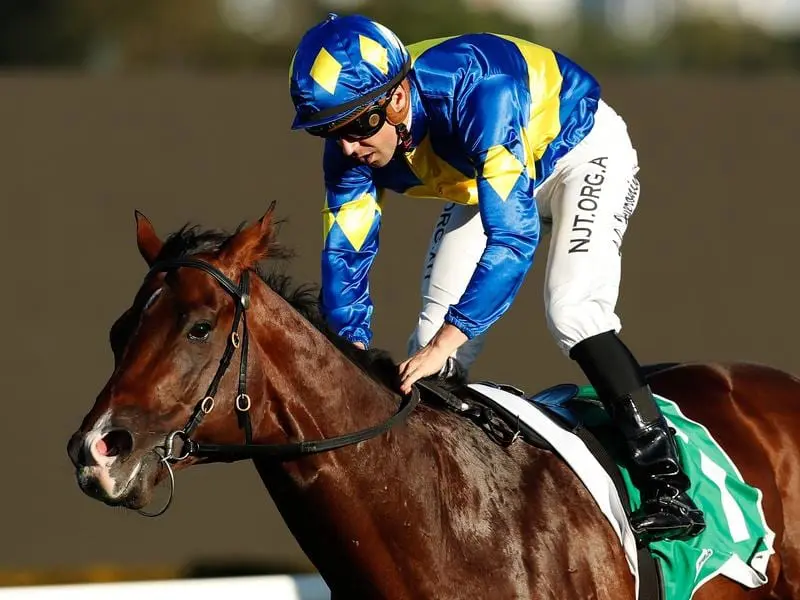 Three-year-old Dawn Passage has continued a spectacular autumn for Gai Waterhouse and Adrian Bott. Dawn Passage wins the Hawkesbury Guineas.