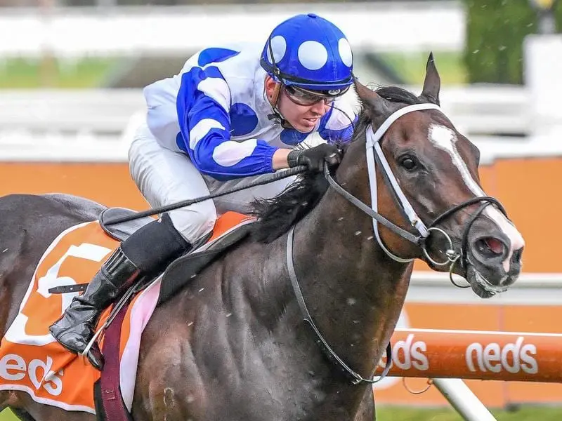 Ancestry in winning form at Caulfield.