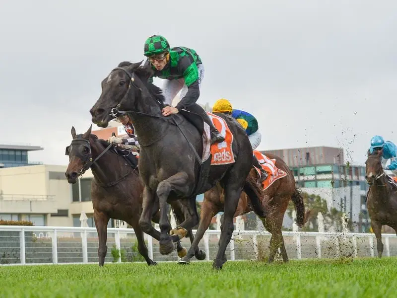 Barbie's Fox wins at Caulfield.