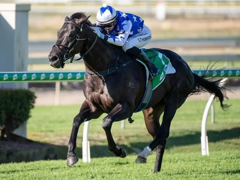 The Odyssey wins at Doomben.