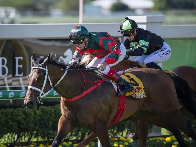 September Run wins the Bill Carter Stakes at Doomben.