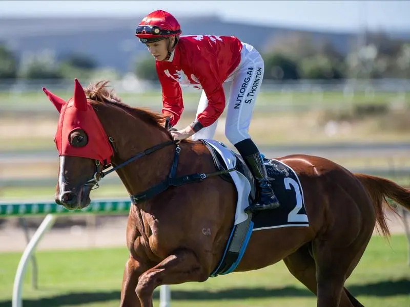 Starosa on her way to winning at Doomben.