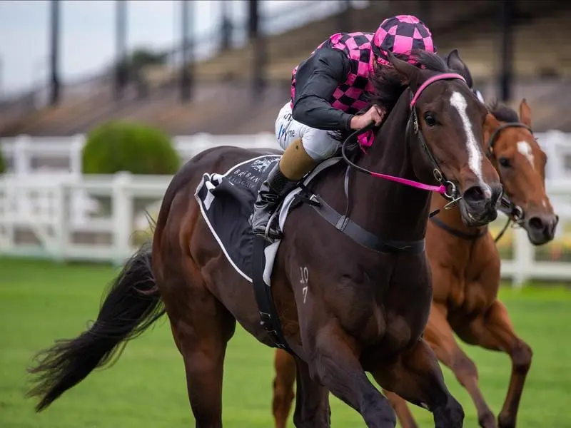 Rothfire wins the Champagne Classic at Eagle Farm.