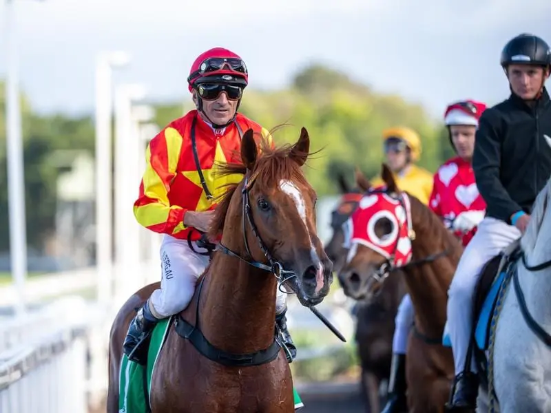 Jockey Robbie Fradd says Ken Russell Memorial Classic winner Wisdom Of Water is a serious colt. Robbie Fradd on exciting colt Wisdom Of Water.