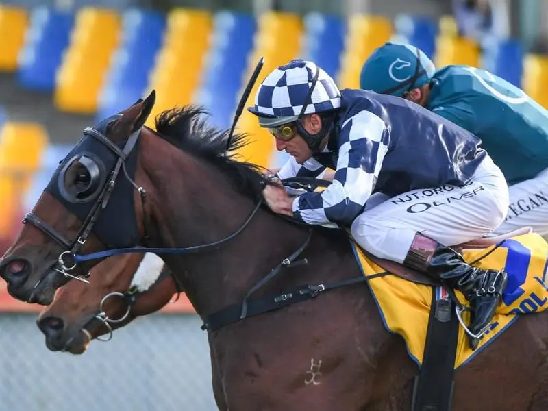 Order Of Command wins the Wangoom Handicap at Warrnambool.