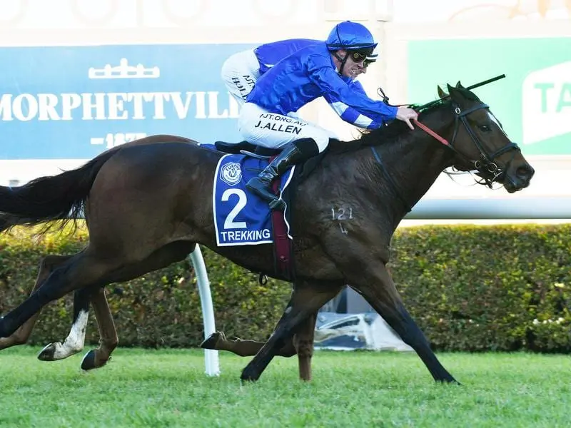 John Allen has made the most of a rare ride for Godolphin to win The Goodwood on Trekking. Trekking wins The Goodwood with John Allen in the saddle.