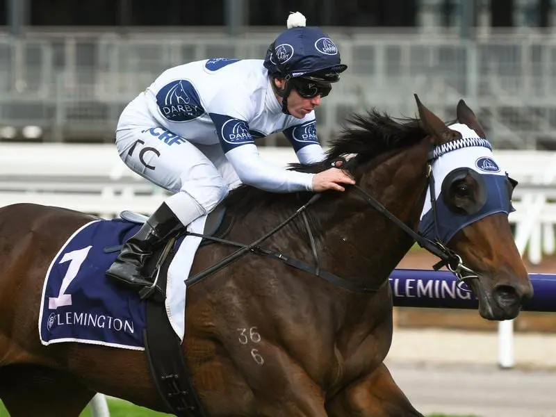 Celestial Falls winning at Flemington.