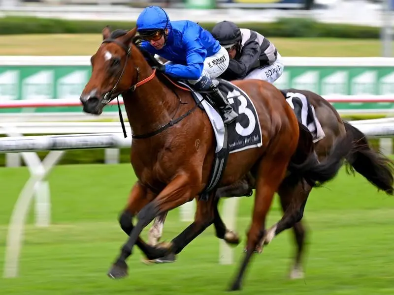Well-related Coruscate posted the seventh win of his career with a regulation victory at Randwick. Coruscate wins at Randwick.