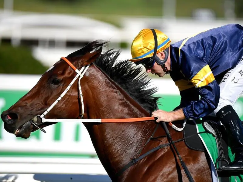 Masked Crusader wins at Randwick.