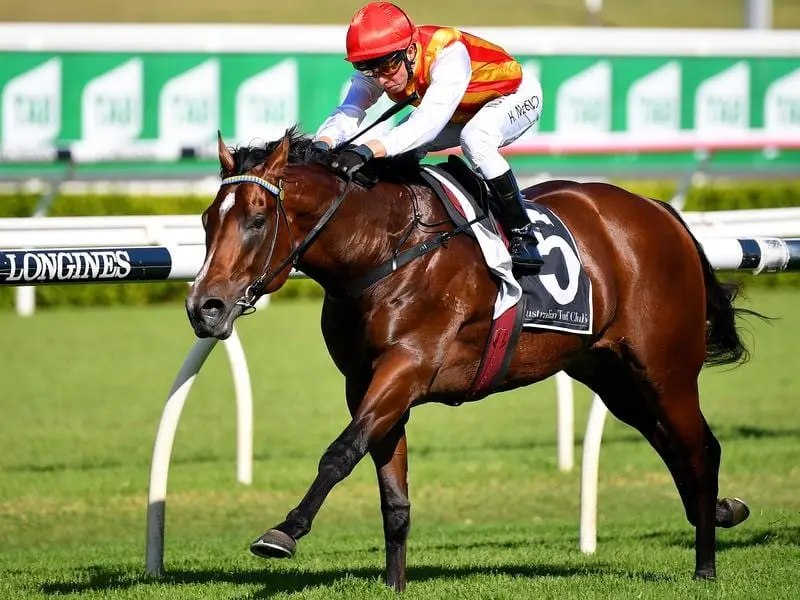 Peltzer will be aiming for three wins from three starts at Randwick.