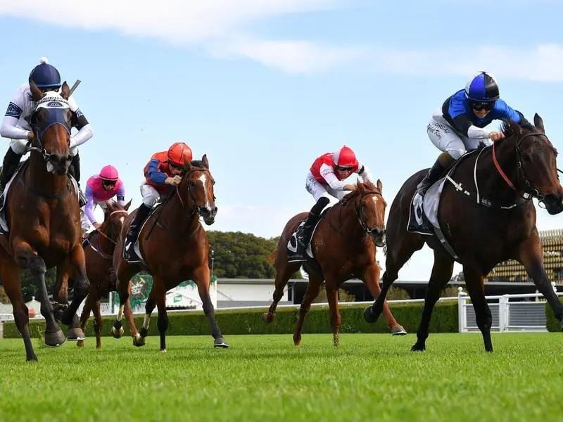 The finish to race four at Randwick.