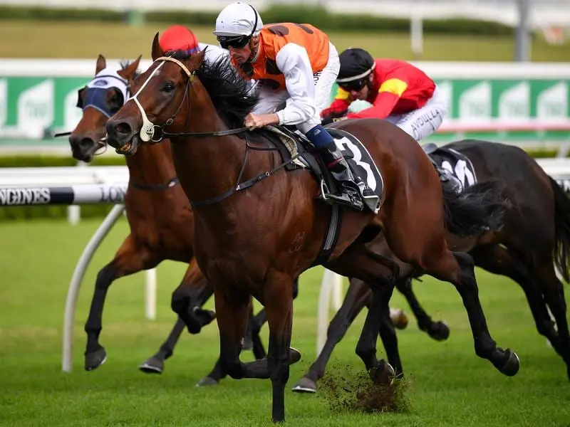 Bottega will be chasing successive wins at Rosehill.