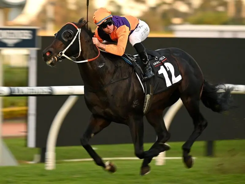Dirty Work has made a one-act affair of the Listed Ortensia Stakes over 1100m at Rosehill. Dirty Work wins the Ortensia Stakes.