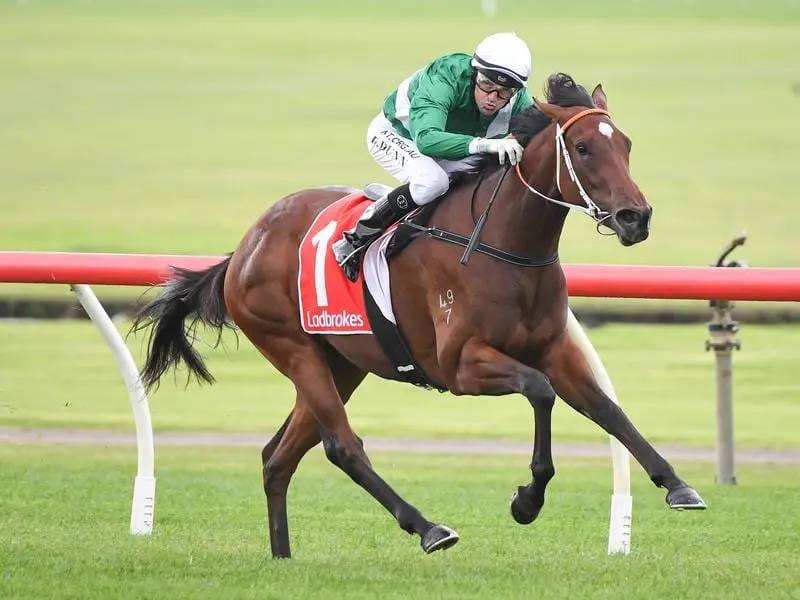 Diala wins at Sandown.