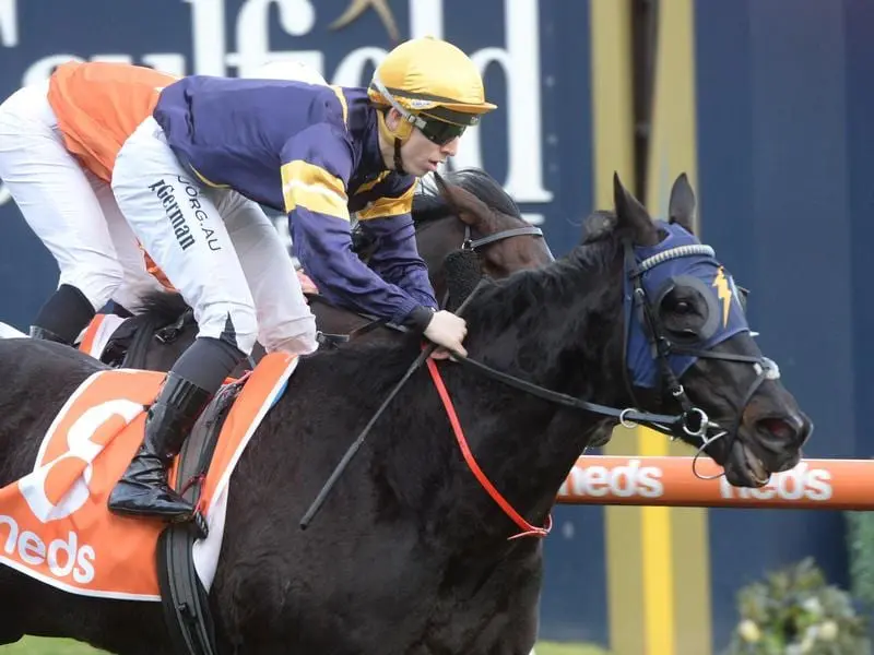 Mirimar has landed a double for trainer Mike Moroney with his win at Caulfield. Mirimar wins at Caulfield.