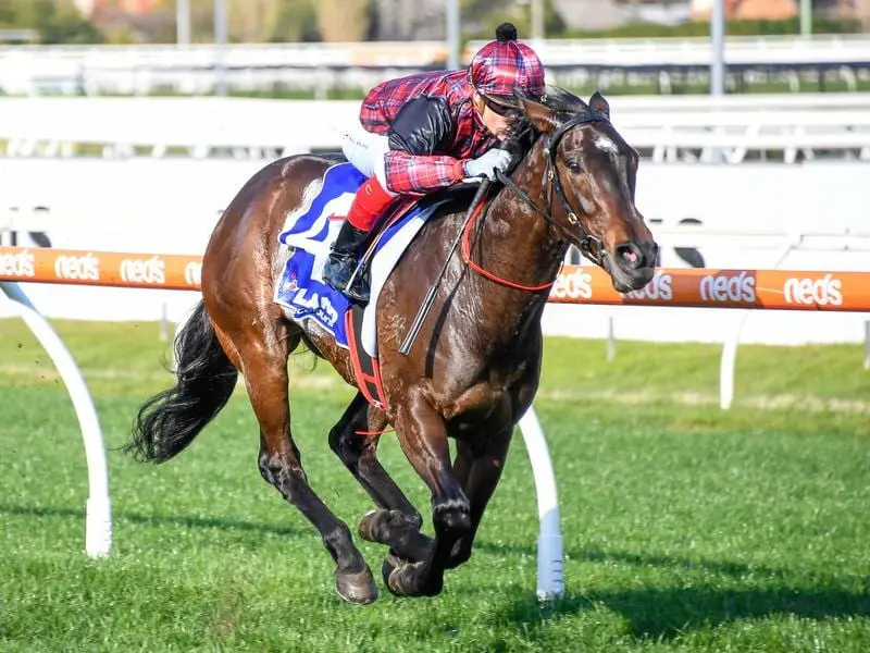 Felicia wins at Caulfield.