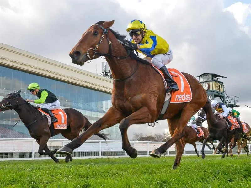 Jockey Michael Rodd has posted his first metropolitan success since returning from Singapore. Michael Rodd wins on Mystery Shot at Caulfield.