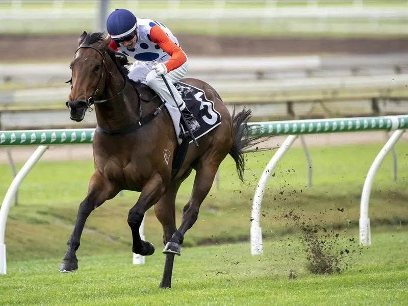 Howwonderfullifeis delievered a Brisbane training milestone for Tony Gollan at Doomben. Howwonderfullifeis wins at Doomben.