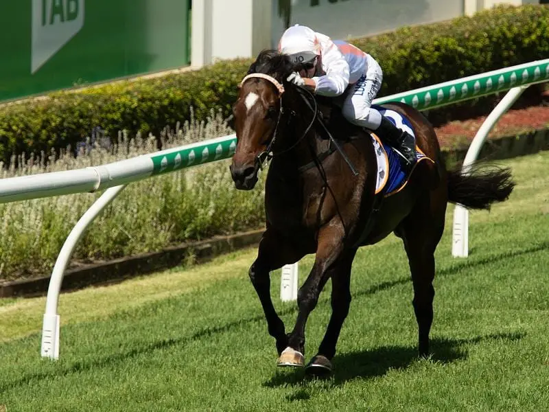 The Barry Lockwood-trained Fiery Heights is expected to improve with a drop in grade at Doomben. Fiery Heights will contest the TAB Handicap at Doomben.