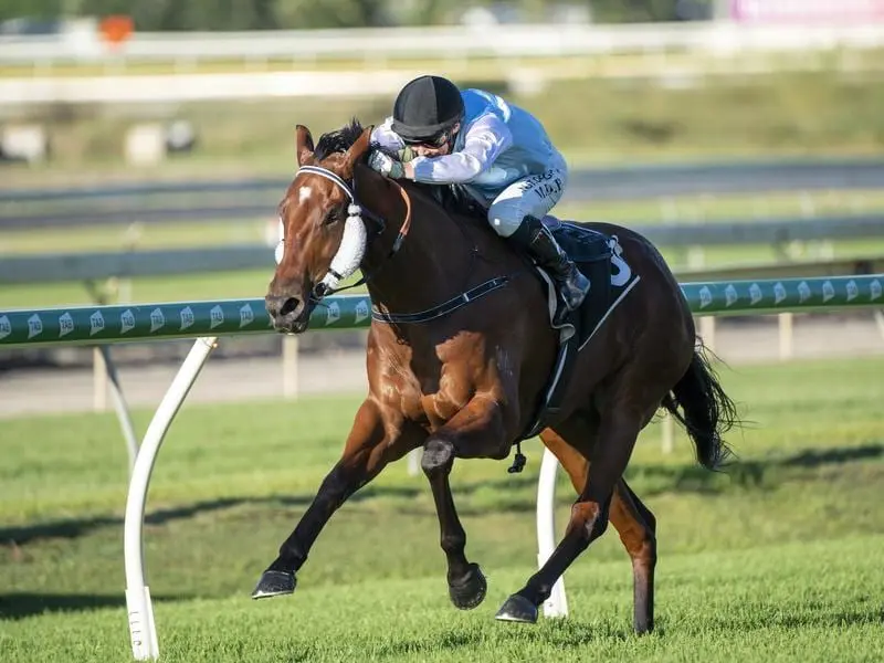 Mishani Hustler in one of his Doomben wins.