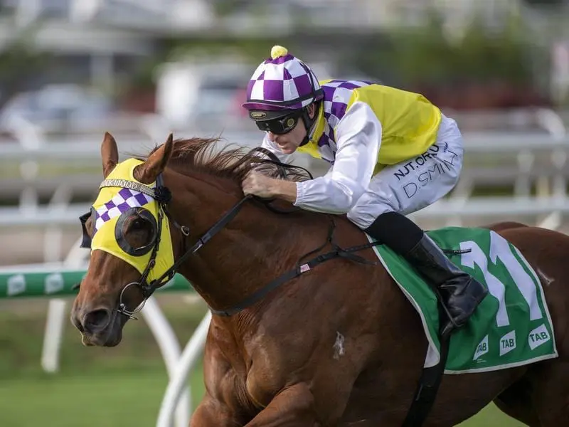 In Good Time wins the Ascot Handicap.