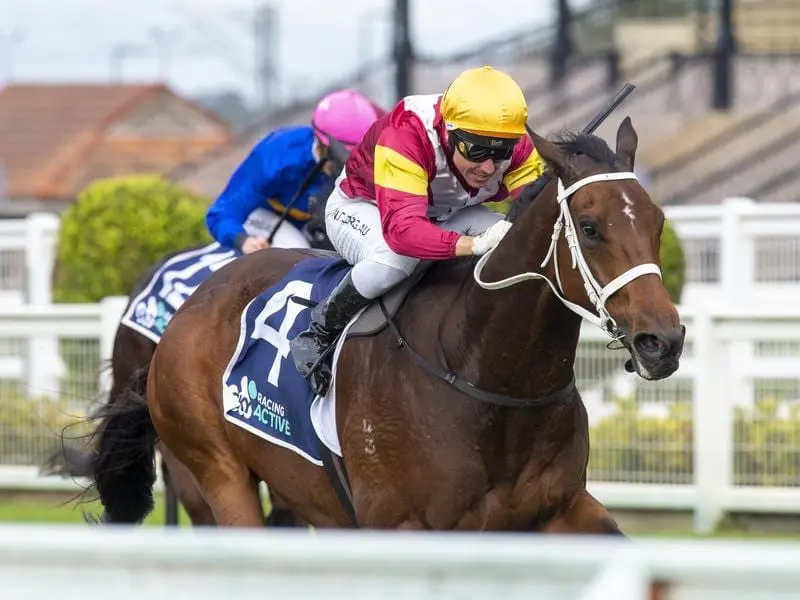 Brimham Rocks wins the Tattersall's Cup at Eagle Farm.