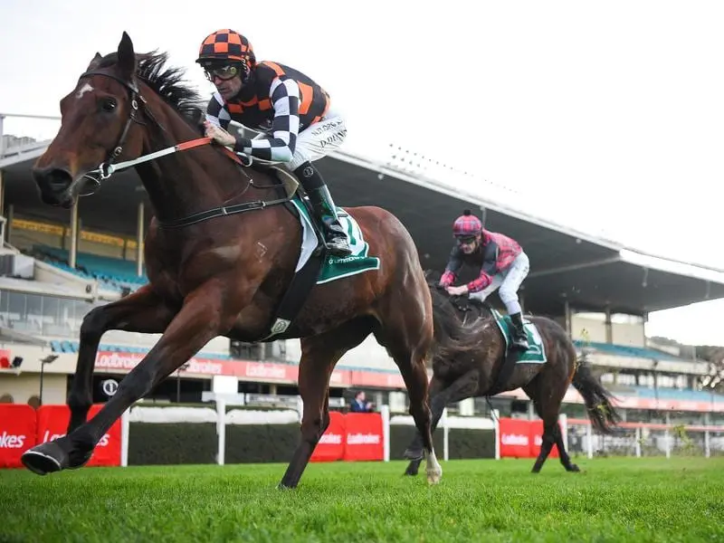 Kalkarni Royale set for stakes race tilt at Flemington